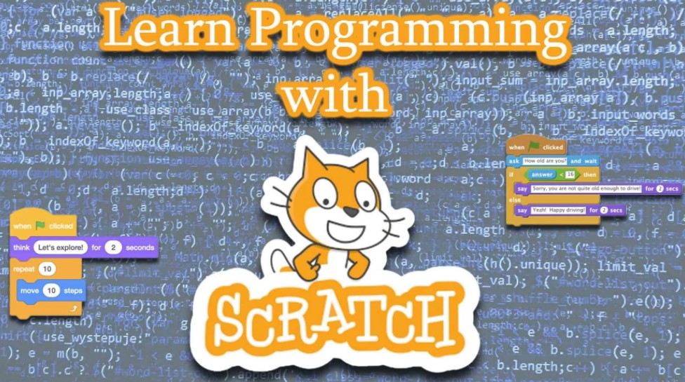 Scratch website picture