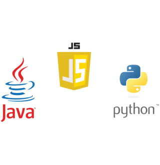 Professional Languages Java Javascript Python